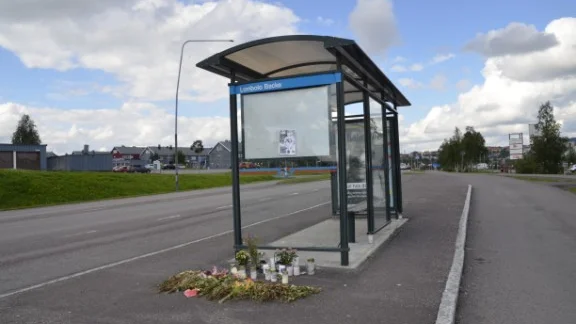 Mordet på Reza Hosseini utreds som ett hedernmord.