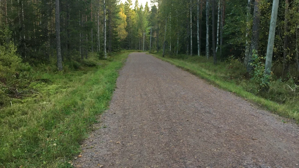 Det finns speciella slingor för cyklister på Ormberget, håll er där, uppmanar signaturen Flitig motionär.