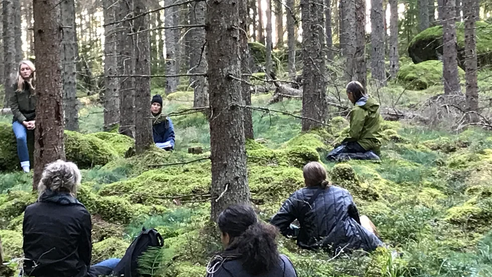 Statens konstråd på besök i Sörmlands, och förmodligen också Sveriges, största offentliga konstverk mitt ute i Julitaskogarna.