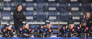 Spelskicklig center förstärker Visby Roma