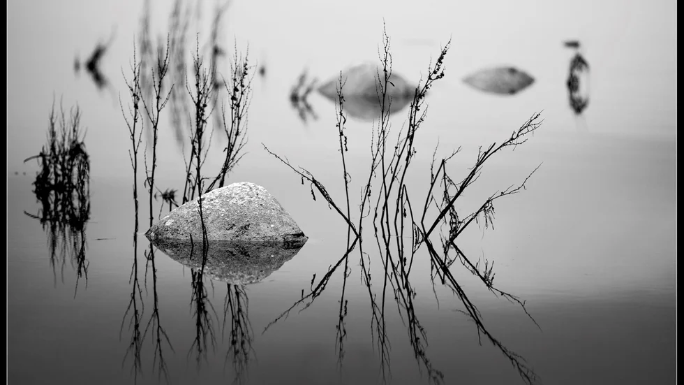Vinnande månadsbild, december. Tema "speglingar".