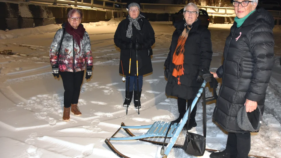 Kaarina Karpoff, Inga-Maj Lundström, Ulla Granström och Ester Viklund säger att aktiviteterna för att lindra ensamheten varit bra.