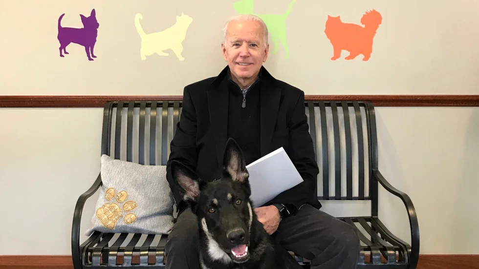 Joe Biden och hans adoptionshund Major. Arkivbild.