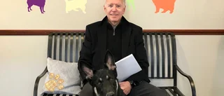 Biden vill ena USA – kan öva på sina husdjur