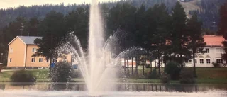Läsarbilden                   