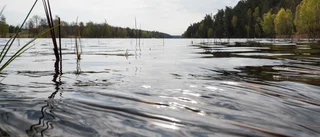 Bevattningsförbudet har hävts i Västerviks kommun