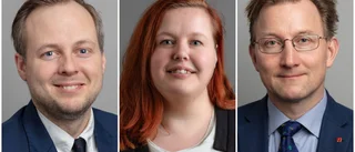 Vad företräder Matilda Hübinette i Knivsta kommun?