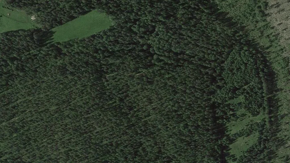 Området kring Bergträsk 10