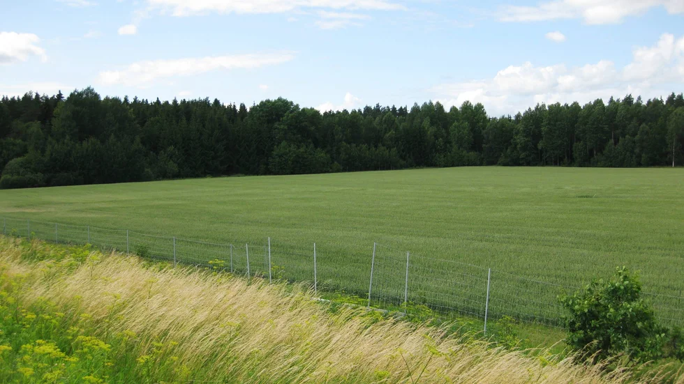 Viltstängsel. 