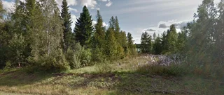 Tomt i Jörn såld till 64-åring - priset: 90 000 kronor