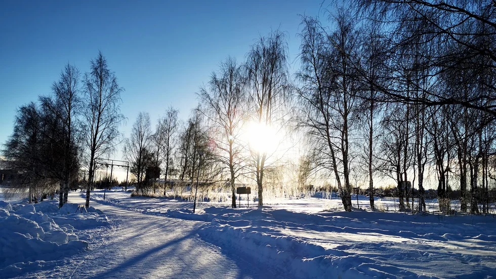 Vacker vinter, på promenad vid Norrstrand.