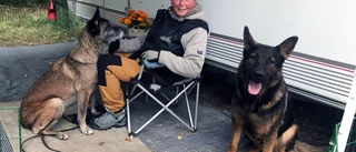 Livaktig förening för fyrbenta vänner: "Mitt andra hem"