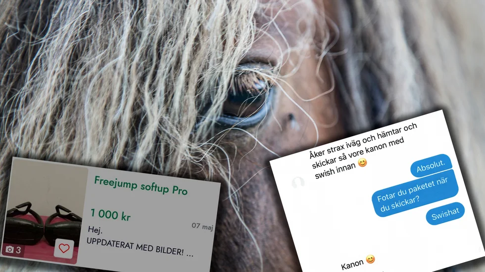 Ytterligare en Eskilstunabo har åtalats för att ha lurat av folk pengar för varor de aldrig fått. Totalt rör det sig om över 90000 kronor.