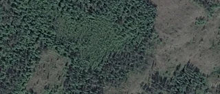 Ägarbyte för skogsmarken på Kuoksu 4050 i Vittangi