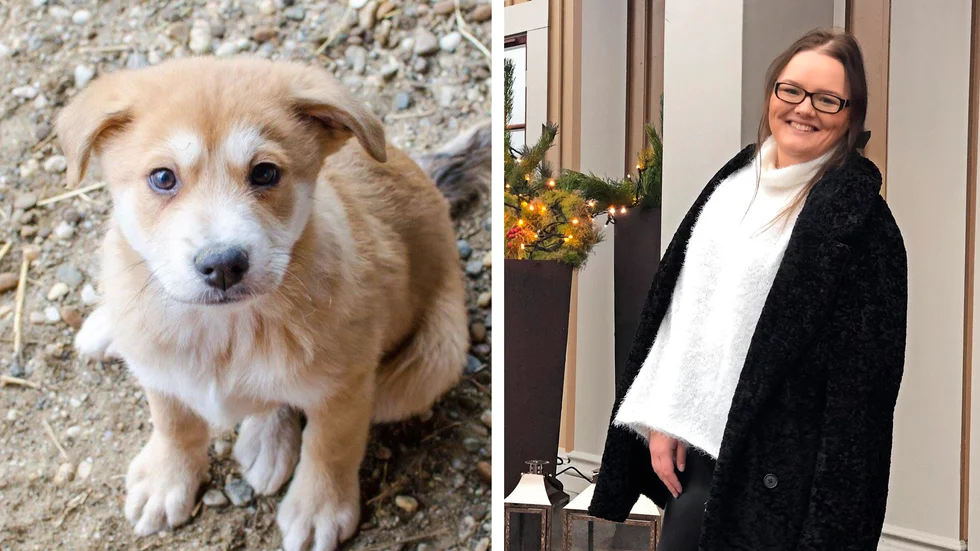 "Oavsett var man tycker om den här typen av föreningar och att importera hundar så är just denna insamling till för hundarna, som är oskyldiga och förtjänar all hjälp dom kan få", säger Josefine Motin. 