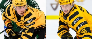 Unga duon har förlängt med AIK: ”En självklarhet”