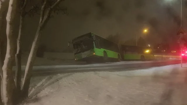 Bussen körde av vägen på måndagseftermiddagen.