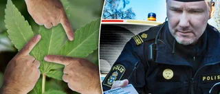 Bröder skyller på varandra – frias: ”Svårt att skilja åt...”