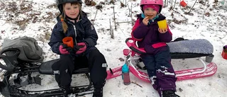 Äntligen pulkaväder i Skolparken