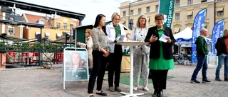 Ikea-parkeringen kan bli solcellspark – C vill göra Östergötland självförsörjande på el