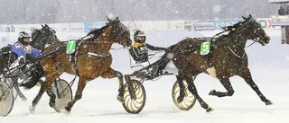Petters härliga seger