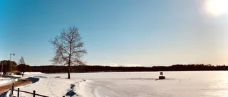 Solen står allt högre
