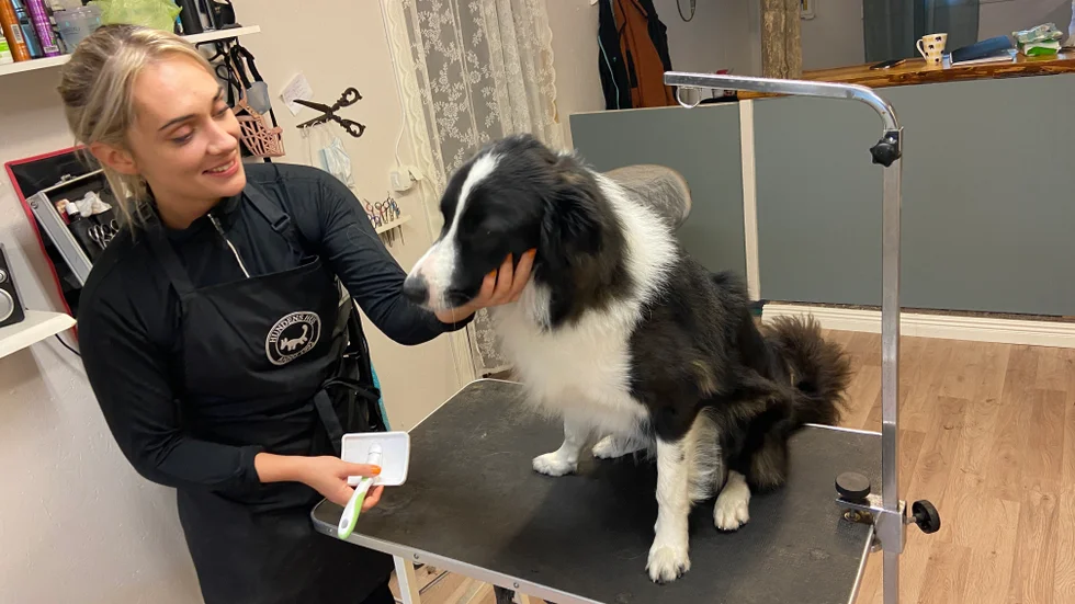 Julia Thomsson och hennes hund Sture som är en border collie. 