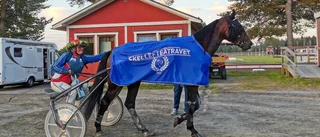Jakt på V75-seger och championat – sedan väntar travets "Mecka" för Roger Nilsson: "Har varit i USA tolv timmar tidigare"