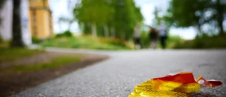 I ett hållbart samhälle finns inget skräp