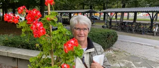 Gunnel köade två timmar – knep första pelargonen: "Nu blir den stora utmaningen att hålla den vid liv"