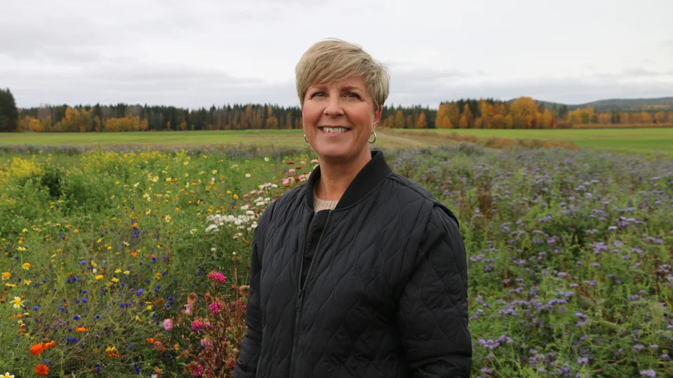 "Jag ser att det är mycket som kommer att hända här de kommande åren", säger Jessica Lindberg, näringslivsutvecklare vid Piteå kommun.