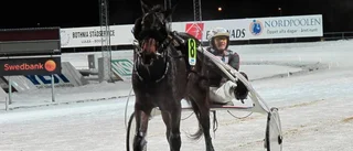 Mästaren kör storfavoriten