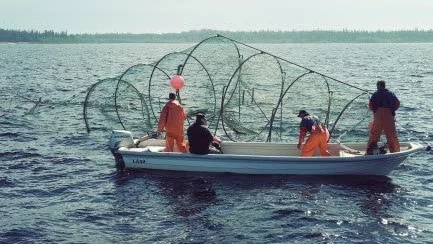 Norrbotten tilldelas 2,1 miljoner kronor från Havs- och vattenmyndigheten. Pengarna ska gå till att förebygga sälskador.