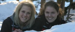 Klara för Kolmården