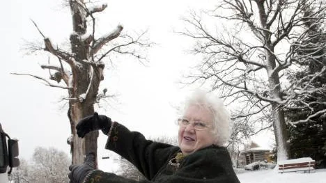 - Jag hoppas att den här gamla eken i centrala Krokek går att rädda, säger "trädkramaren" Harriette Thorstenson som här ses vid den aktuella eken vid ICA:s kundparkering.