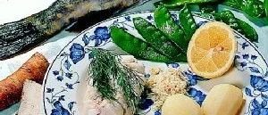 Den nya tidens fiskar 
Satsa på gös, abborre och gädda i stället för torsk