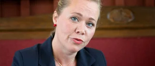 Stora skattesänkningar är inte gratis