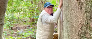 83-årig kristdemokrat vill se klättervägg på Gatstuberg: "Kan bli hur häftigt som helst"