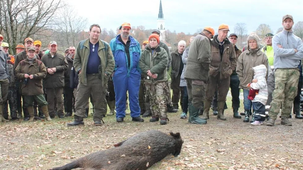 160 jägare lyckades bara skjuta ett enda vildsvin, under rekordjakten i Vånga på lördagen. Här visas dock det för dagen unika "objektet" ut för de jägare som kammade noll den här gången.