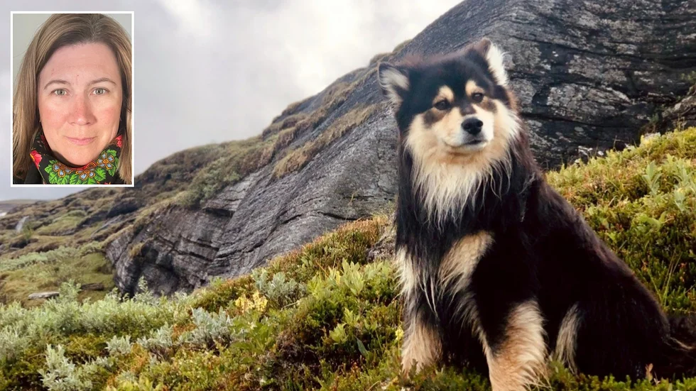 Ida-Maria Svonni fick slåss i två år för att få rätt till skatteavdrag för köpet av en vallhund till renskötseln.