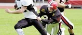 Säsongen slut för Panthers