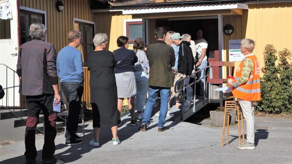 Köer vid vallokalen i Västerhejde.