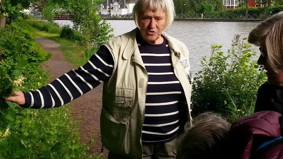 Ramunderkaprifol. Annvor Larsson guidade medlemmarna i STF Bråvalla.