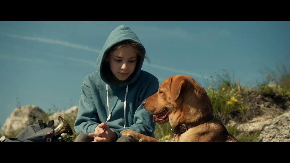 Lili (Zsófia Psotta) älskar sin hund Hagen, men i ett samhälle där blandrashundar hatas och fruktas tvingas de två isär.
Studio S Entertainment