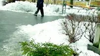 I dag ska granen kastas ut, men inte på det här sättet. Grovsophantering är vad som gäller för den som bor i en hyresfastighet.
FOTO: ANITA KJELLBERG