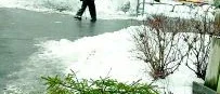 Idag ska granen ut - men inte på gatan