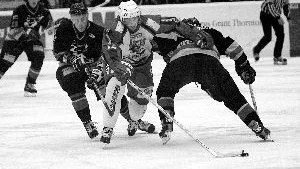 Kristoffer Jobs var en av de bästa hemmaspelarna när Hästen Hockey föll mot IK Pantern med 2-3 i Himmelstalundshallen.
FOTO: NICLAS SANDBERG
