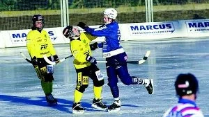 Calle Tolff kände för att klappa om en av spelarna i Forsbacka.
FOTO: ANDREAS SKOGH