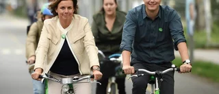 Miljöpartiet är inte det enda partiet för miljön
