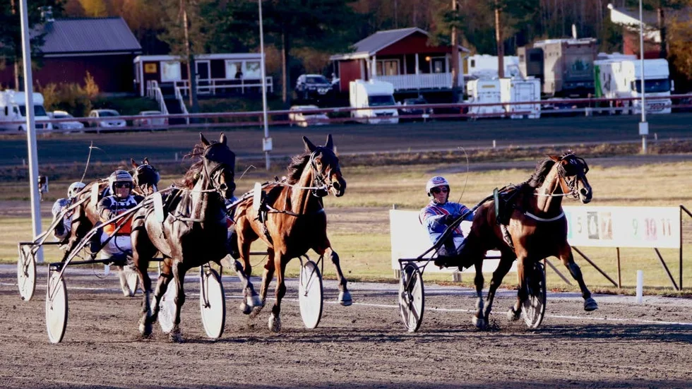 PT-sportens travexpert Bosse Lundkvist spikar Abrystir (i mitten).